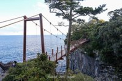 —城崎海岸+吊橋，