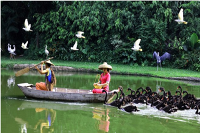 【廣州】長(zhǎng)隆野生動(dòng)物園、珠海海洋王國(guó)、歡樂世界雙臥6日游