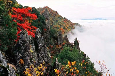 【安康】南宮山+香溪洞、安康博物館兩日游